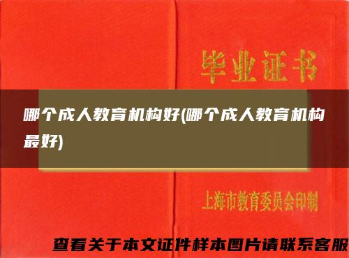 哪个成人教育机构好(哪个成人教育机构最好)