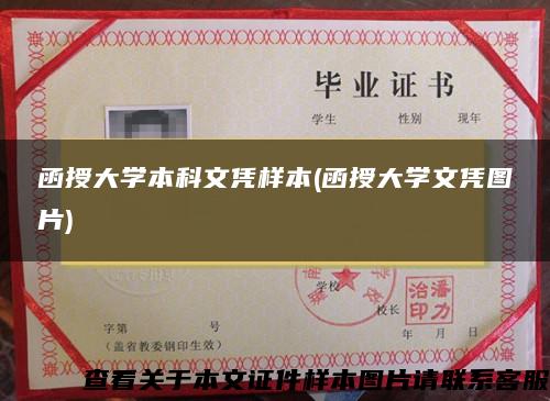 函授大学本科文凭样本(函授大学文凭图片) 函授大学本科文凭样本(函授大学文凭图片)