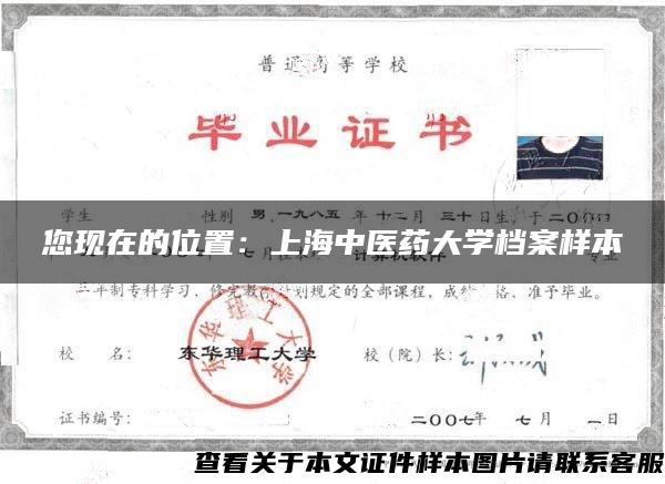 您现在的位置：上海中医药大学档案样本