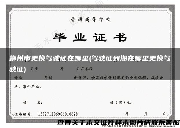 郴州市更换驾驶证在哪里(驾驶证到期在哪里更换驾驶证)