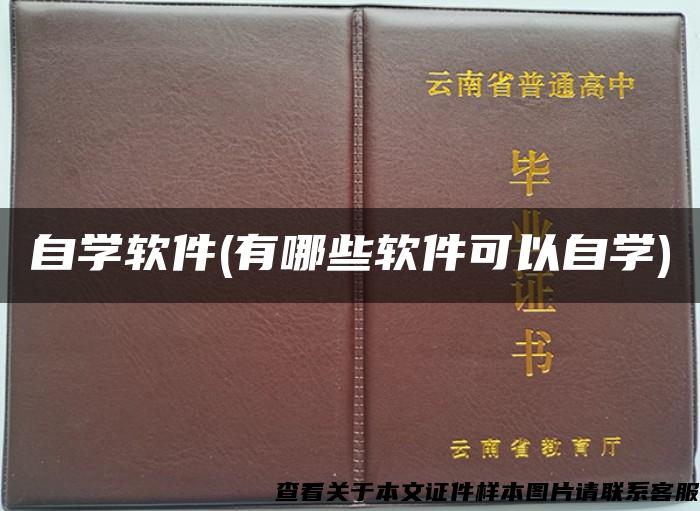 自学软件(有哪些软件可以自学)