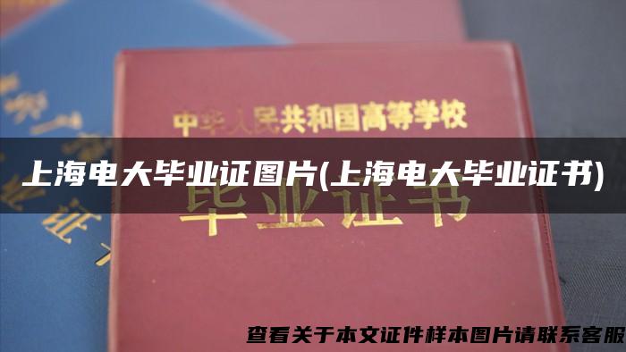 上海电大毕业证图片(上海电大毕业证书)