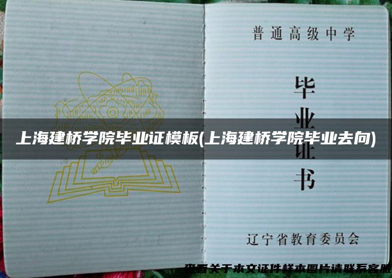 上海建桥学院毕业证模板(上海建桥学院毕业去向)