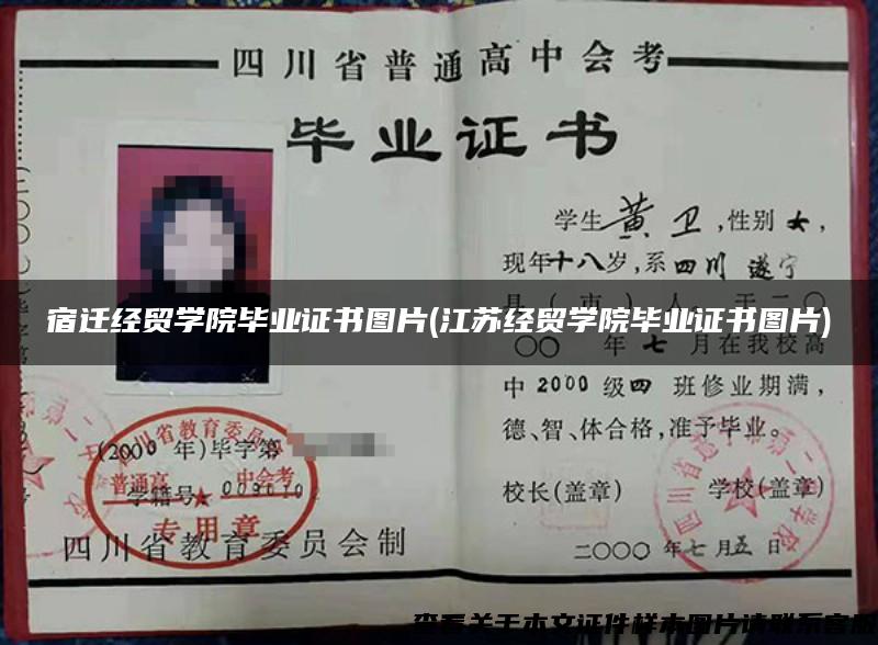 宿迁经贸学院毕业证书图片(江苏经贸学院毕业证书图片)