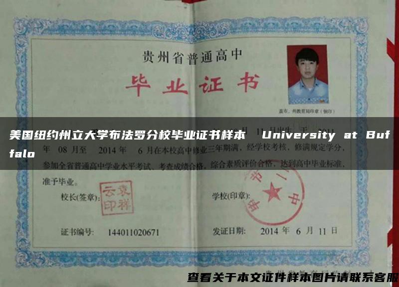 美国纽约州立大学布法罗分校毕业证书样本  University at Buffalo