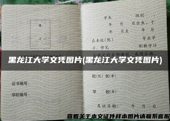 黑龙江大学文凭图片(黑龙江大学文凭图片)