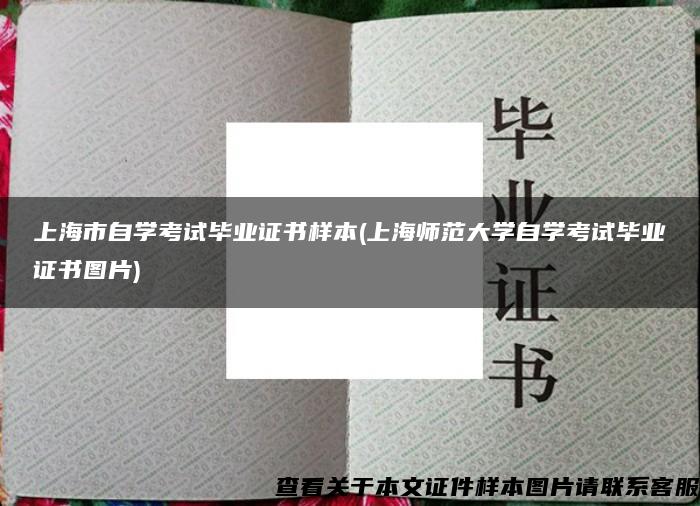 上海市自学考试毕业证书样本(上海师范大学自学考试毕业证书图片)