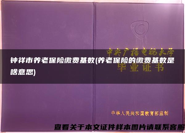 钟祥市养老保险缴费基数(养老保险的缴费基数是啥意思)