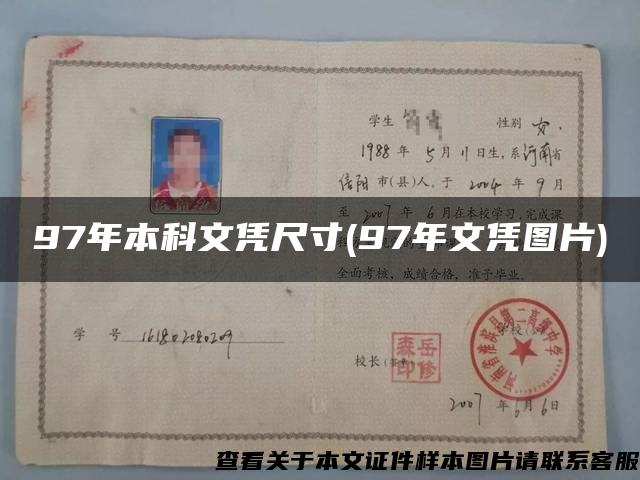 97年本科文凭尺寸(97年文凭图片)