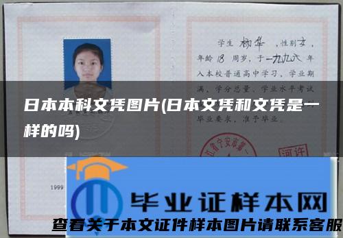 日本本科文凭图片(日本文凭和文凭是一样的吗)
