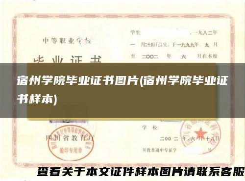 宿州学院毕业证书图片(宿州学院毕业证书样本) 宿州学院毕业证书图片(宿州学院毕业证书样本)