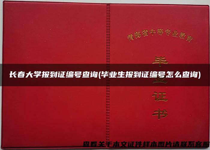 长春大学报到证编号查询(毕业生报到证编号怎么查询)
