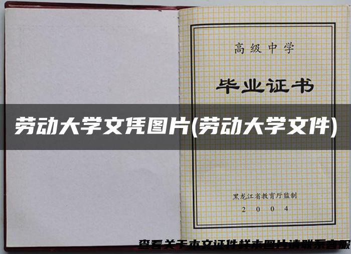 劳动大学文凭图片(劳动大学文件)