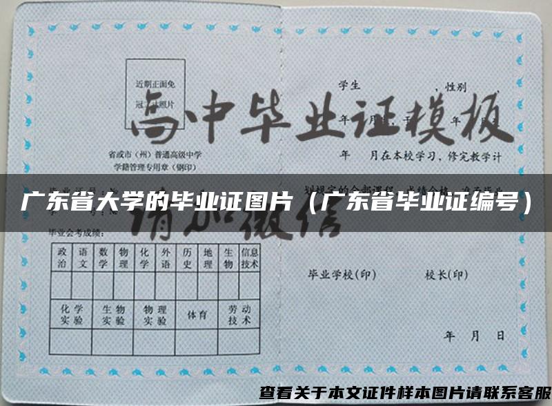 广东省大学的毕业证图片（广东省毕业证编号）