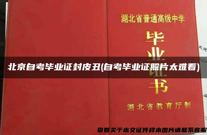 北京自考毕业证封皮丑(自考毕业证照片太难看)