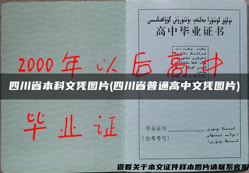 四川省本科文凭图片(四川省普通高中文凭图片) 四川省本科文凭图片(四川省普通高中文凭图片)