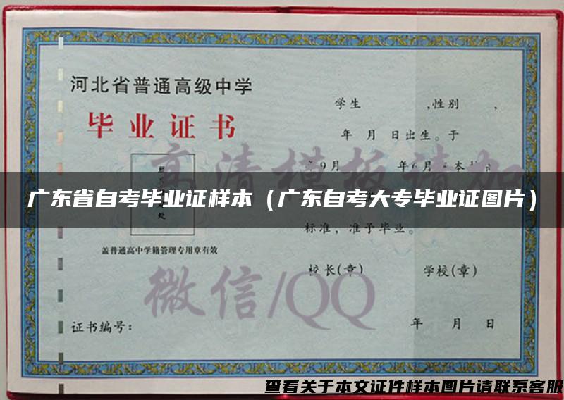 广东省自考毕业证样本（广东自考大专毕业证图片）