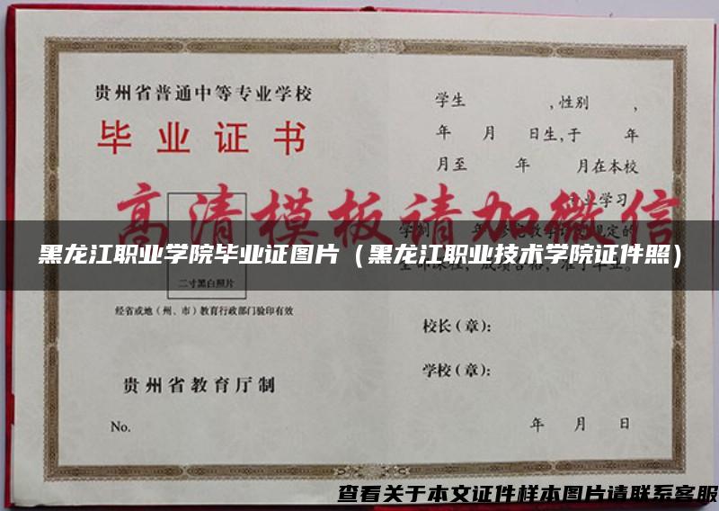 黑龙江职业学院毕业证图片（黑龙江职业技术学院证件照）