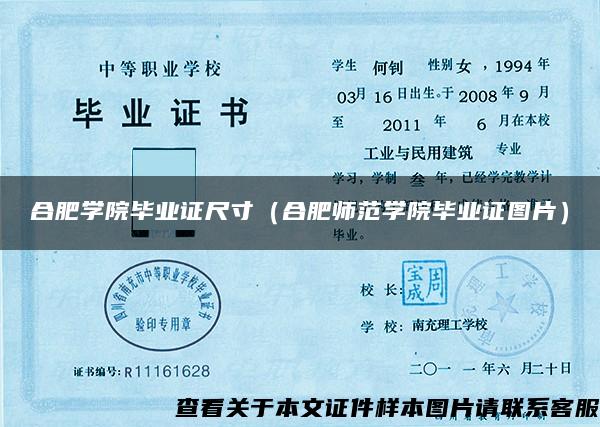 合肥学院毕业证尺寸(合肥师范学院毕业证图片) 合肥学院毕业证尺寸(合肥师范学院毕业证图片)