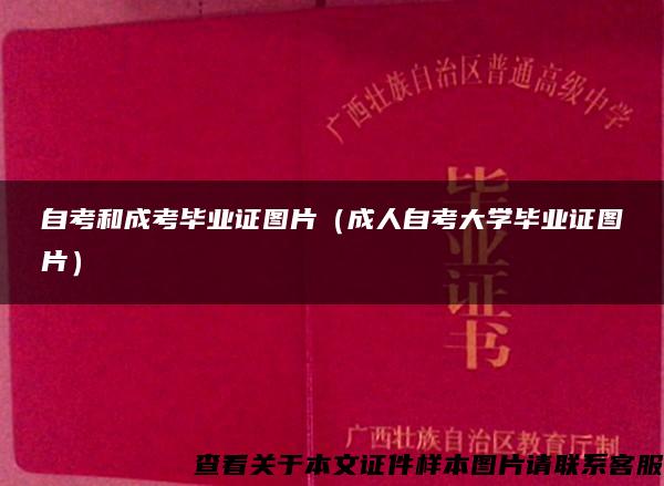 自考和成考毕业证图片（成人自考大学毕业证图片）