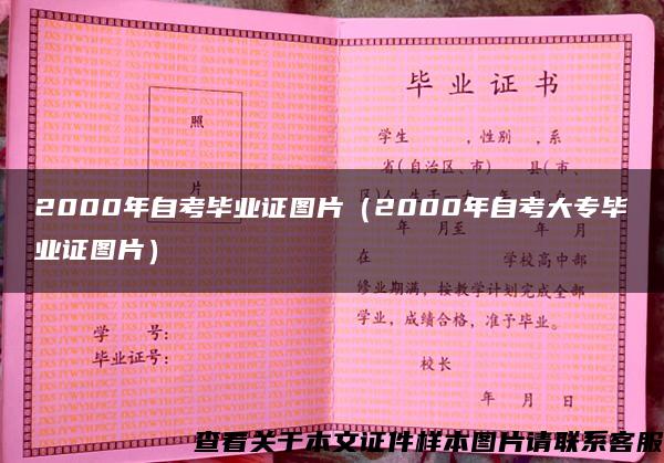 2000年自考毕业证图片（2000年自考大专毕业证图片）
