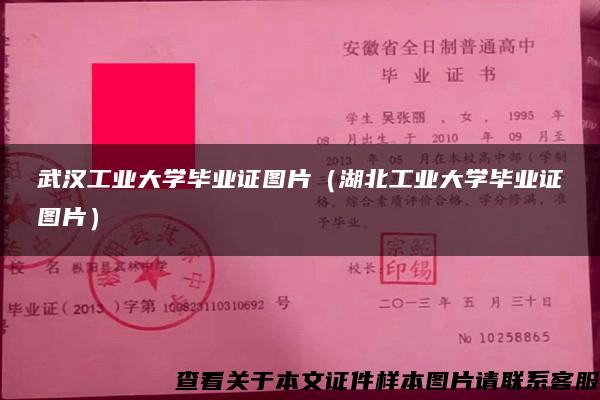 武汉工业大学毕业证图片（湖北工业大学毕业证图片）