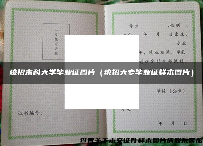统招本科大学毕业证图片(统招大专毕业证样本图片) 统招本科大学毕业证图片(统招大专毕业证样本图片)