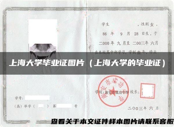 上海大学毕业证图片（上海大学的毕业证）