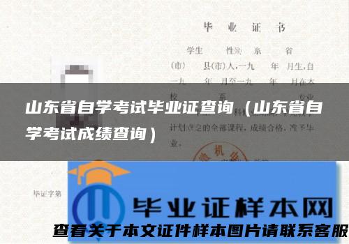 山东省自学考试毕业证查询（山东省自学考试成绩查询）