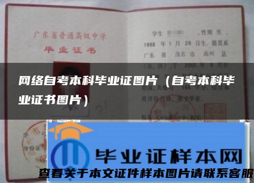 网络自考本科毕业证图片（自考本科毕业证书图片）