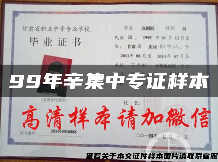 99年辛集中专证样本