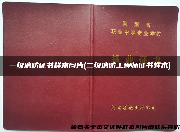 一级消防证书样本图片(二级消防工程师证书样本)