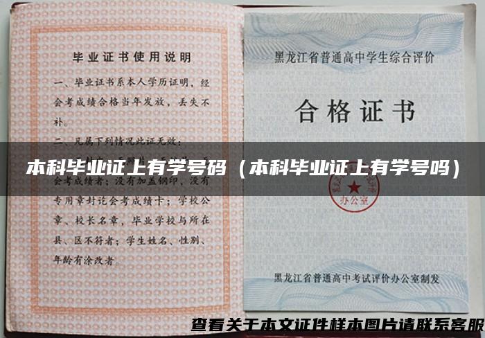本科毕业证上有学号码（本科毕业证上有学号吗）