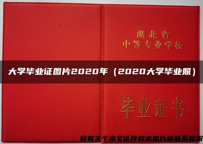 大学毕业证图片2020年(2020大学毕业照) 大学毕业证图片2020年(2020大学毕业照)
