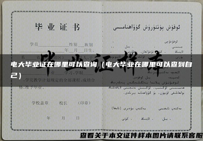 电大毕业证在哪里可以查询（电大毕业在哪里可以查到自己）