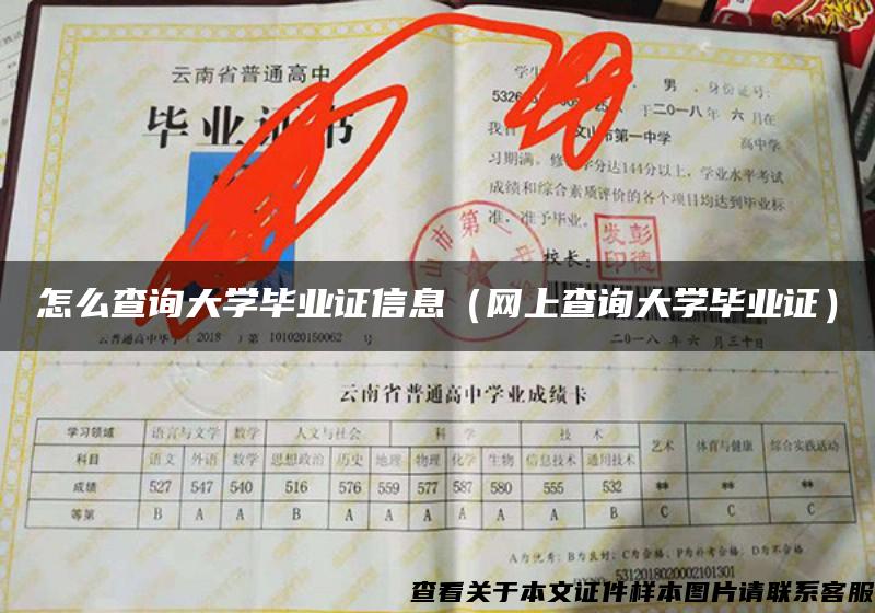 怎么查询大学毕业证信息(网上查询大学毕业证) 怎么查询大学毕业证信息(网上查询大学毕业证)