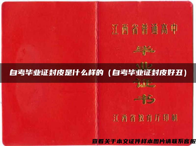 自考毕业证封皮是什么样的（自考毕业证封皮好丑）