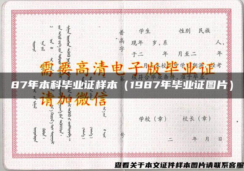 87年本科毕业证样本（1987年毕业证图片）