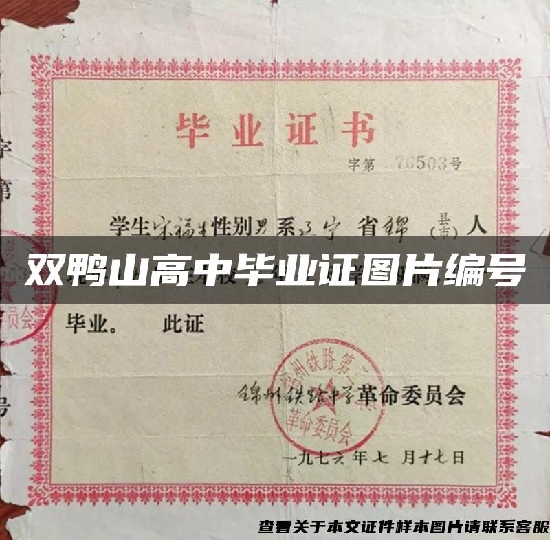 双鸭山高中毕业证图片编号 双鸭山高中毕业证图片编号