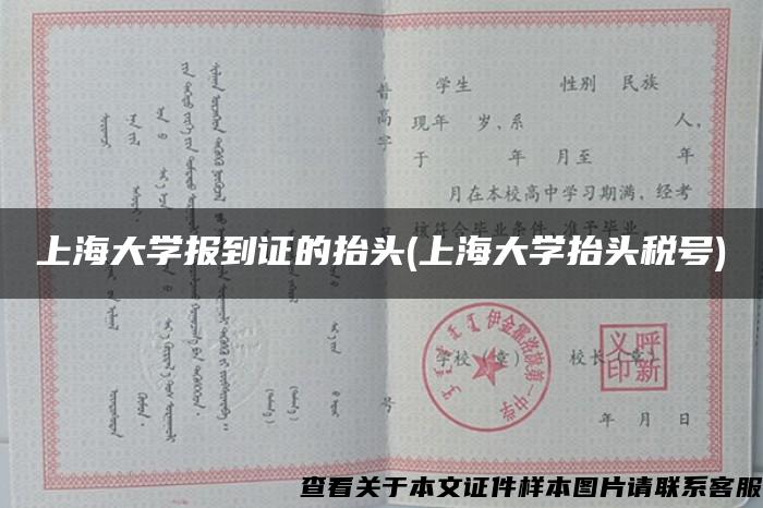 上海大学报到证的抬头(上海大学抬头税号)