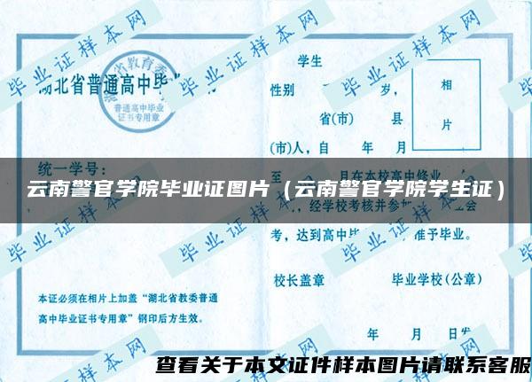 云南警官学院毕业证图片（云南警官学院学生证）