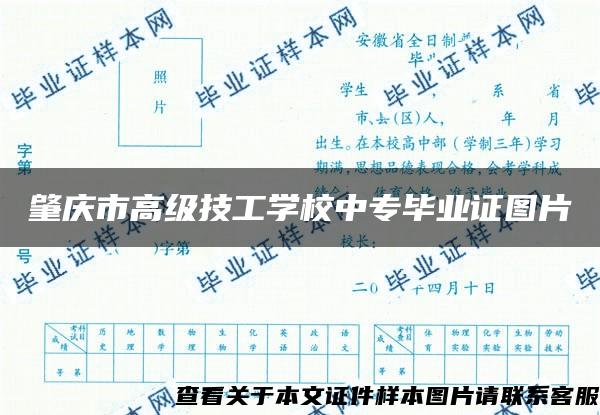 肇庆市高级技工学校中专毕业证图片