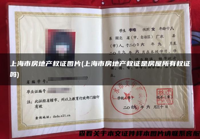 上海市房地产权证图片(上海市房地产权证是房屋所有权证吗)