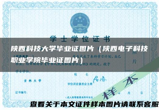 陕西科技大学毕业证图片（陕西电子科技职业学院毕业证图片）