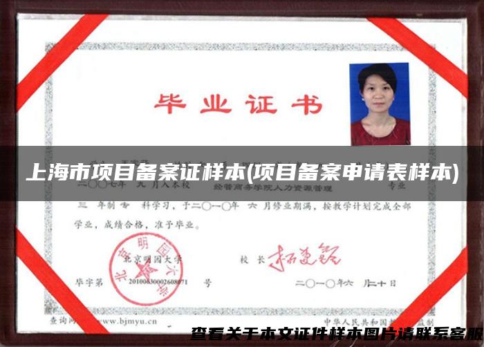 上海市项目备案证样本(项目备案申请表样本)