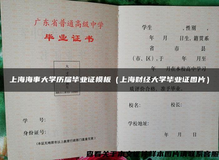 上海海事大学历届毕业证模板（上海财经大学毕业证图片）