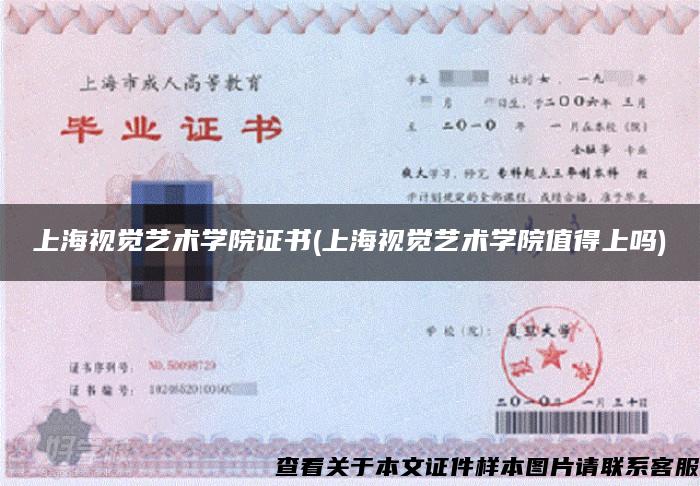 上海视觉艺术学院证书(上海视觉艺术学院值得上吗)