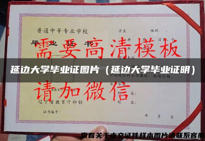 延边大学毕业证图片(延边大学毕业证明) 延边大学毕业证图片(延边大学毕业证明)