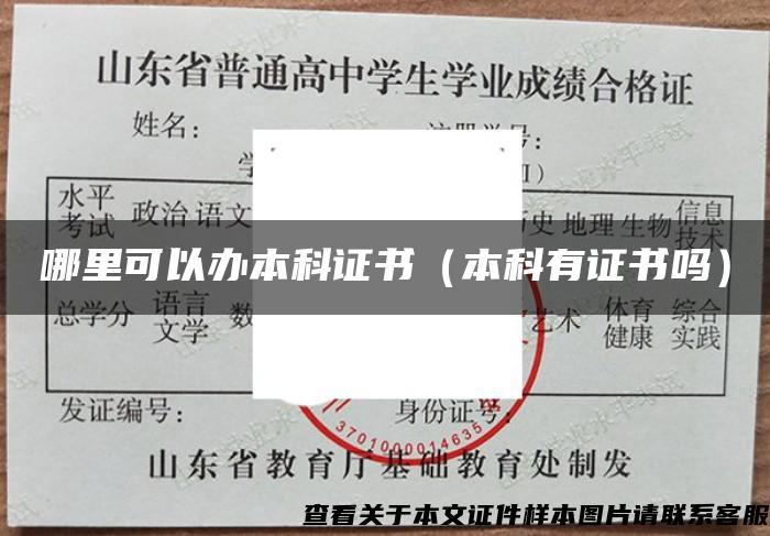 哪里可以办本科证书（本科有证书吗）