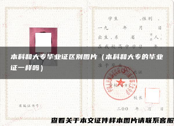本科和大专毕业证区别图片(本科和大专的毕业证一样吗) 本科和大专毕业证区别图片(本科和大专的毕业证一样吗)